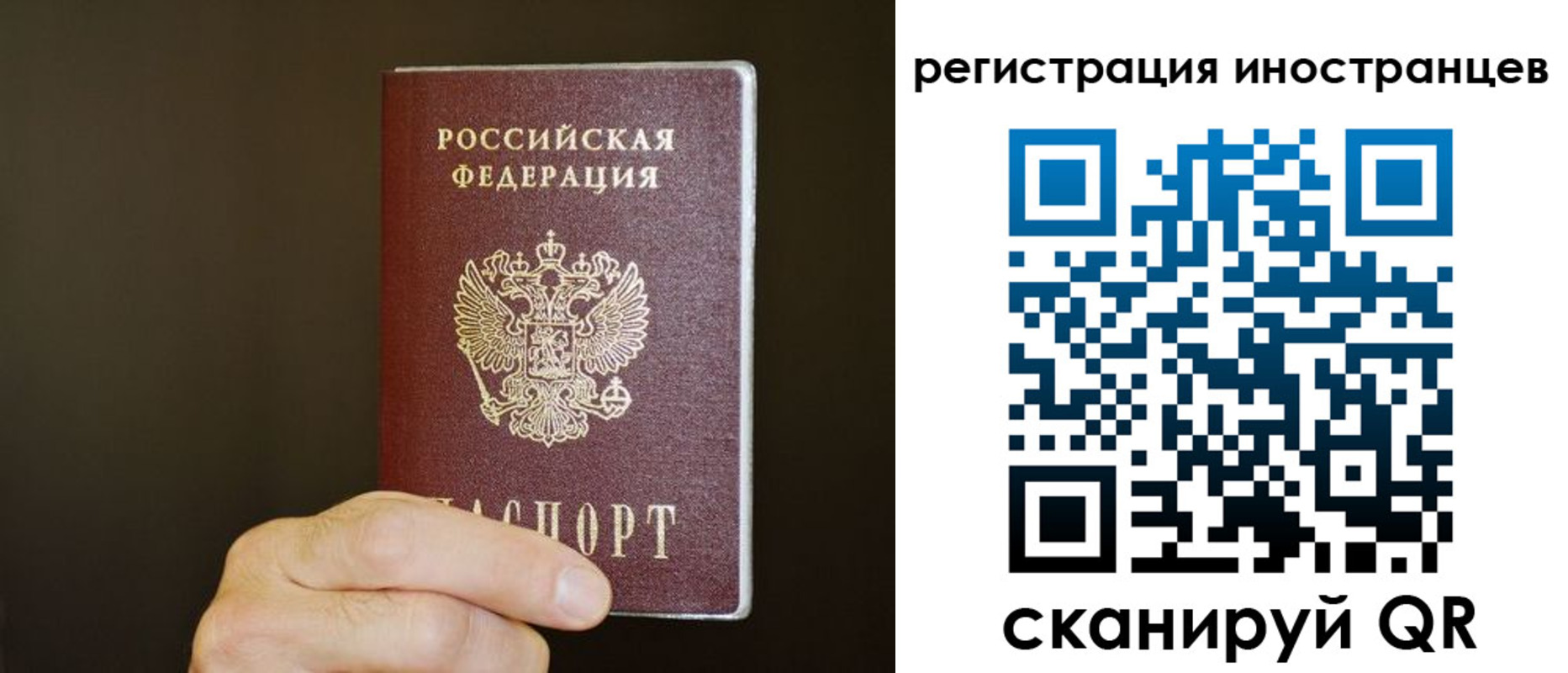 прописка в Сердобске